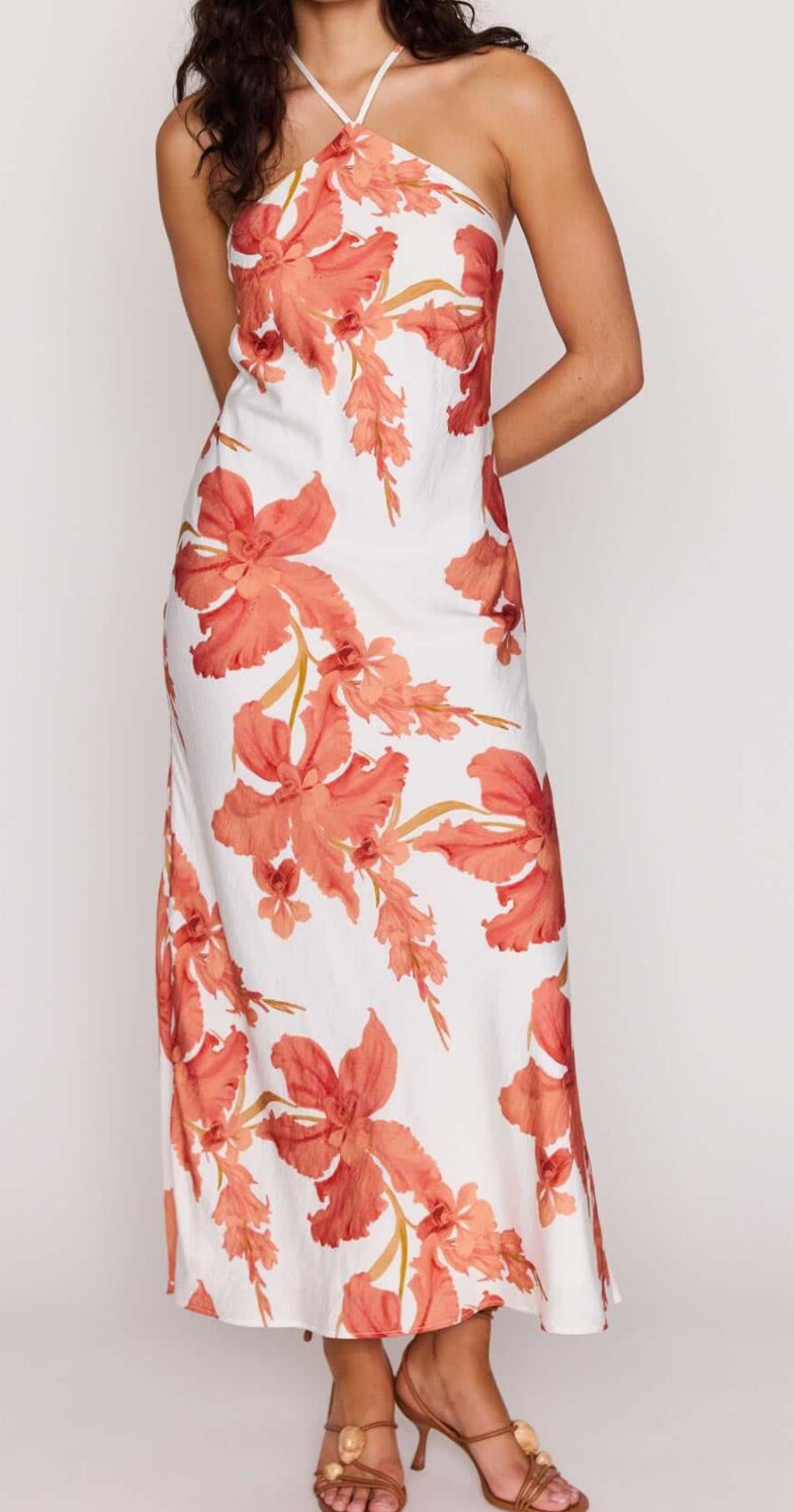 MINKPINK                                                                                                 PEACH HIBISCUS HALTER MIDI DRESS
ISLA HALTER MAXI DRESS