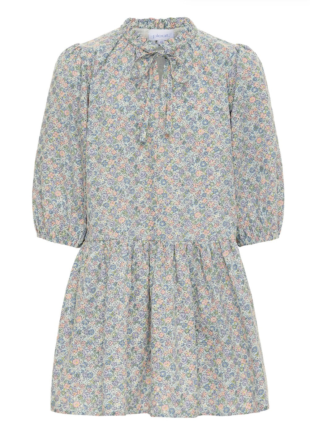 Pleat                                                                                                                 Eve Dress